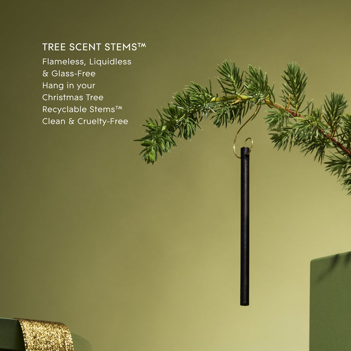 a Christmas tree with a black ornament hanging from it.