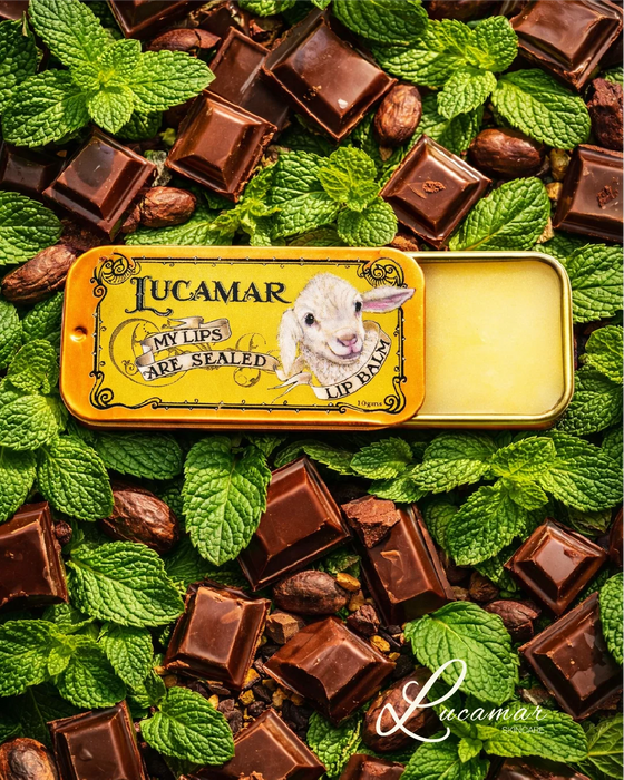 a tin of Lucamar lip balm surrounded by chocolate pieces and mint leaves.