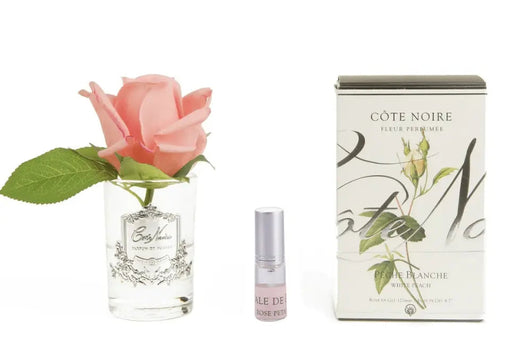 Cote Noire Perfumed Natural Touch Rose Bud - Clear - White Peach - Gmr45 Cote Noire