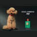A small, fluffy poodle wearing a red collar sits on a black stand, with a green bottle of Fédé perfume next to it.