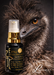 an emu with a bottle of Emu Oil placed next to it.