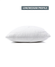 A single white pillow with a low/medium profile design.