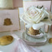 Cote Noire Perfumed Natural Touch 5 Roses - Clear - Pink Blush - Pink Box - GMR88 Cote Noire