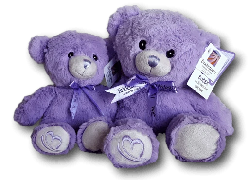 Two purple teddy bears with purple bows sit together against a black background.