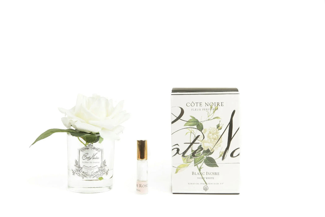 Cote Noire Perfumed Natural Touch Single Rose - Clear - Ivory White - GMR01 Cote Noire