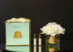 Cote Noire Perfumed Natural Touch 5 Roses - Clear & Gold Badge - Ivory White - GMR92 - Jade Tiffany Box Cote Noire