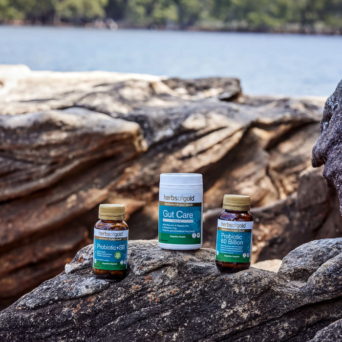 Herbs of Gold Probiotic + SB Herbs of gold