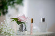 Cote Noire Perfumed Natural Touch Single Rose - Clear- french pink - GMR06 Cote Noire