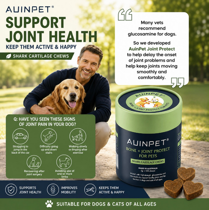Auinpet Bone + Joint Protect for Pets - Shark Cartilage Chews