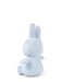 A light blue stuffed bunny toy is sitting on a white background.