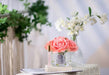 Cote Noire Perfumed Natural Touch 5 Roses - Clear - White Peach - GMR65 Cote Noire