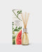 Watermelon & Coconut XDaySale