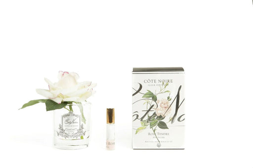 Cote Noire Perfumed Natural Touch Single Rose - Clear - Pink Blush - GMR02 Cote Noire