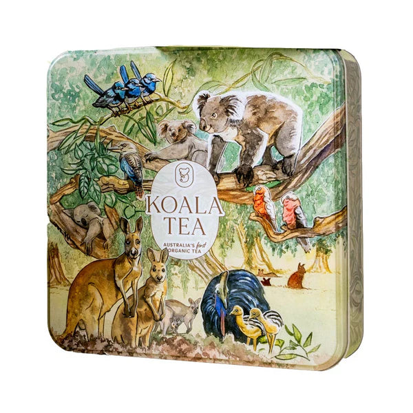 Koala Tea Discovery Premium Koala GiftTin
