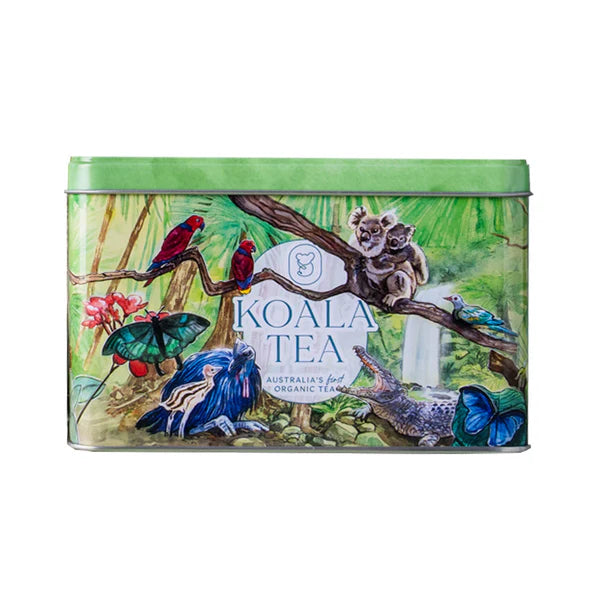 Koala Tea Koala Gift Tin Rainforest