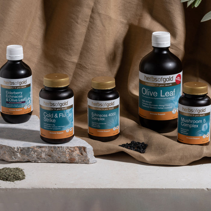 Herbs of Gold Elderberry Echinacea & Olive Leaf
