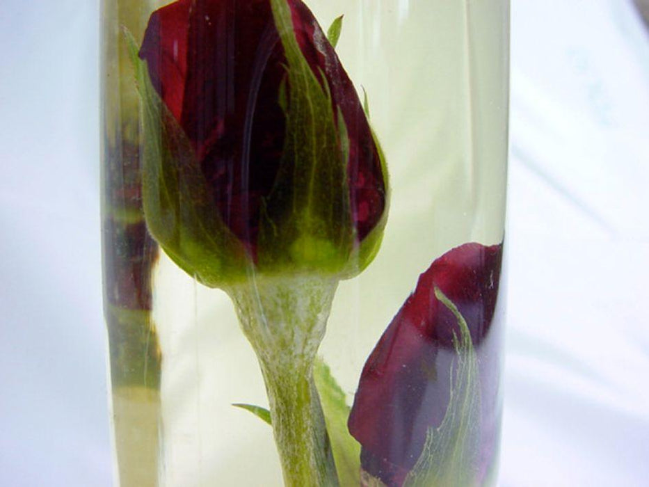 Linden Leaves Body Oil Memories - Rose