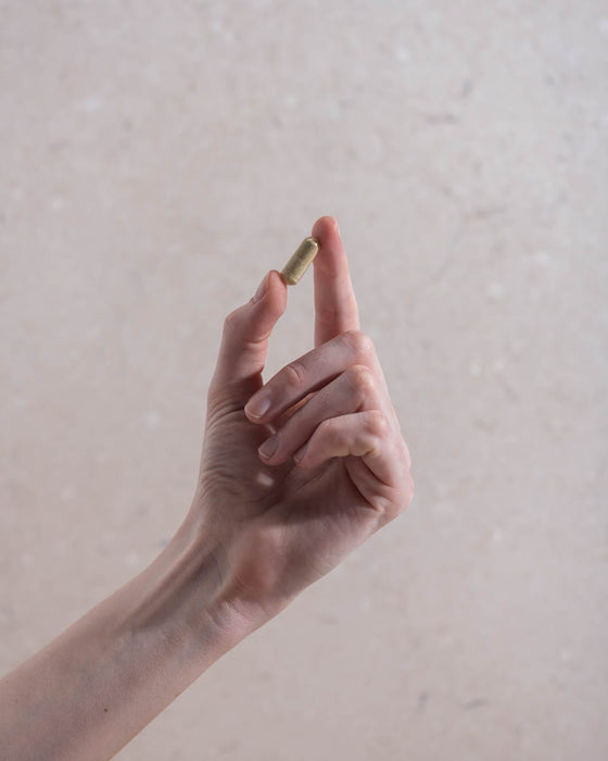 Herbs of Gold Gout Relief Complex